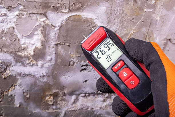 Best Mold Testing  in Evanston, IL