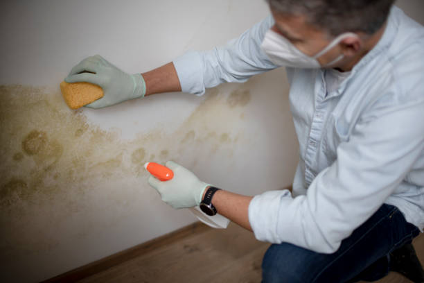 Water Damage Restoration in Evanston, IL